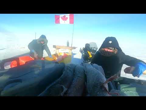 Видео: 7я серия, Рыбалка, весь день на льду