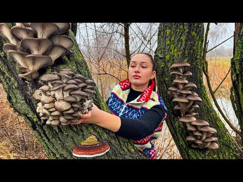 Видео: 🔥Вкуснейший Жульен из Грибов, Которые Мы Собрали в Лесу