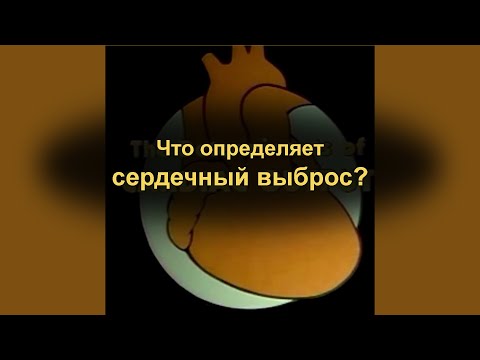 Видео: Что определяет сердечный выброс?