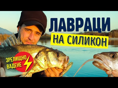 Видео: Лавраци на силикон. Зрелищно вадене. Силикони на Delalande в действие.