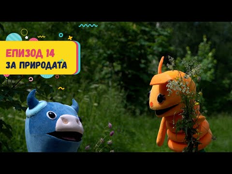 Видео: Арт Дъга - еп.14 - Грижа за дивите животни