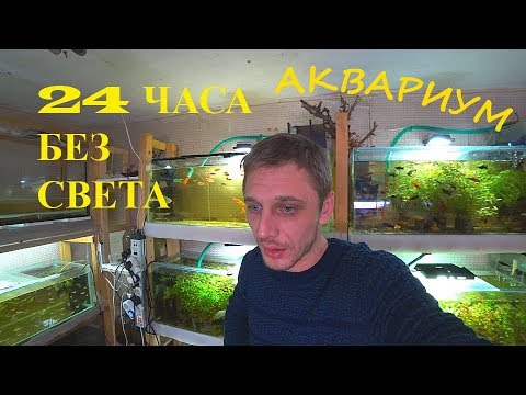 Видео: ЧТО ЕСЛИ ОТКЛЮЧИЛИ ЭЛЕКТРИЧЕСТВО!!!