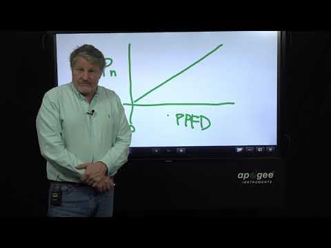 Видео: Мифы и часто задаваемые вопросы об освещении для выращивания каннабиса с доктором Брюсом Багби