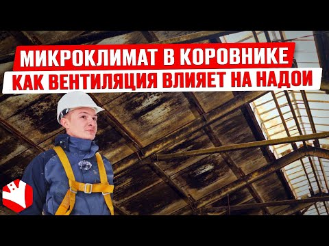 Видео: Как вентиляция влияет на надои? | Микроклимат в коровнике | Устройство коровника