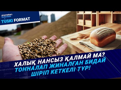 Видео: Халық нансыз қалмай ма? Тонналап жиналған бидай шіріп кеткелі тұр! / Түскі формат / 26.09.24