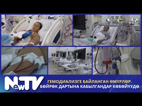 Видео: Гемодиализге байланган өмүрлөр. Бөйрөк дартына кабылгандар көбөйүүдө