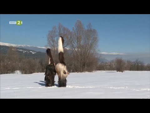 Видео: Кукерският карнавал "Старчевата" в Разлог, Пазители на традициите - 09.02.2025 по БНТ