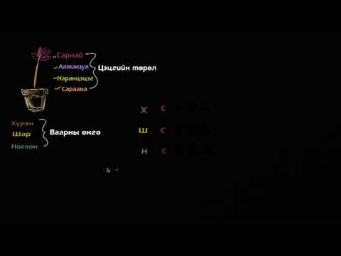 Видео: Ваар, цэцгийн хослолыг тоолох