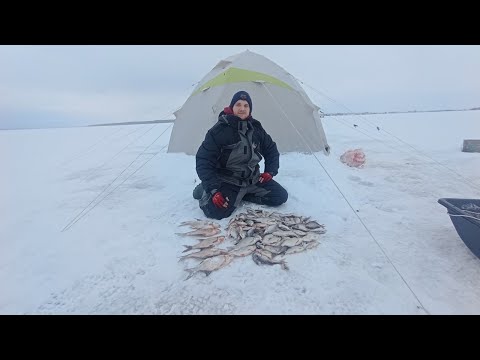 Видео: ЛОВЛЯ ПОДЛЕЩИКА ЗИМОЙ В ПАЛАТКЕ . ВИЛЕЙСКОЕ ВДХ .