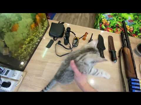 Видео: Обзор комплекта снаряжения для охоты