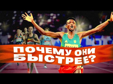Видео: Страна бегунов. Эфиопия