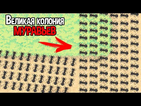Видео: ВЫРАЩИВАЕМ ВЕЛИКУЮ КОЛОНИЮ МУРАВЬЕВ ( Pocket Ants )