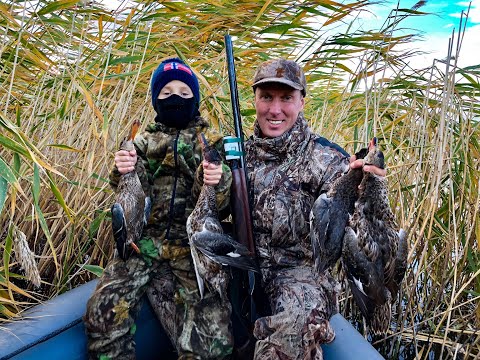 Видео: Утиная охота в Курганской области