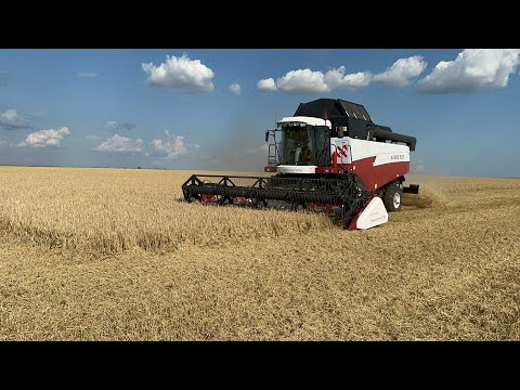 Видео: Старт уборки Ярового Ячменя 2023!