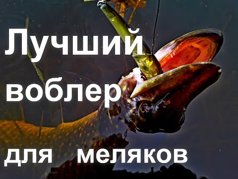 Видео: Лучший воблер для меляков. Обзор воблера Smith TS Joint Minnow 110