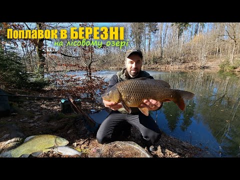 Видео: РИБАЛКА НА ПОПЛАВОК В БЕРЕЗНІ / Весняний Кльов Короп Лин та Плотва