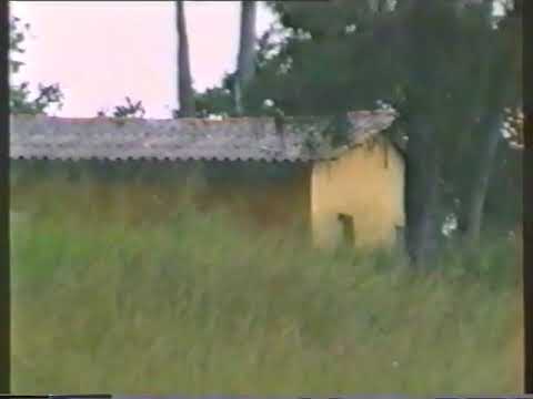 Видео: Новая Деревня - 1993 г.