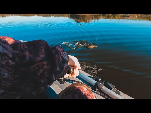 Видео: Я В ШОКЕ! Попал на жор хищника! Рыбалка с лодки 2022