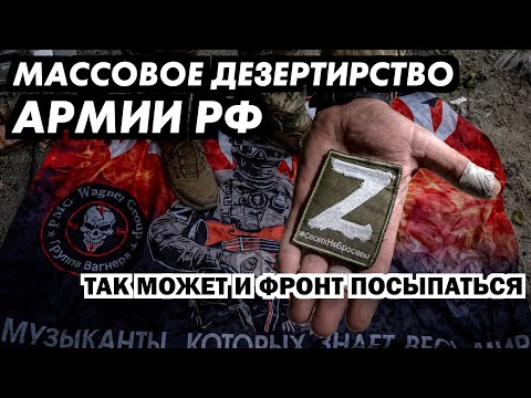 Видео: Не.легально вывозят с передка. По лесам прячутся. Этого "лидерок" может не сдюжить!