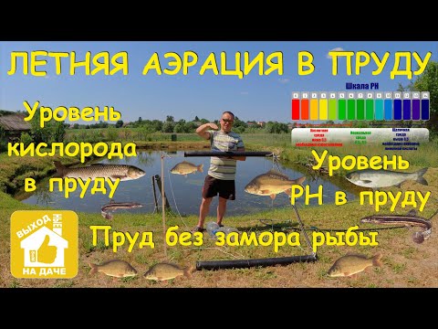 Видео: Летняя АЕРАЦИЯ в пруду. Уровень кислорода в пруду. Уровень PH в пруду Пруд без замора рыбы Тест воды