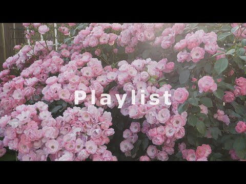 Видео: Удобный плейлист, который делает ваш номер полным цветов 🌿 [PlayList] 4K