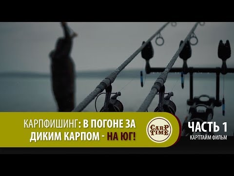 Видео: ⭐ Карпфишинг: В погоне за ДИКИМ КАРПОМ на ЮГ! Часть 1