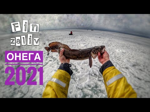 Видео: Зимняя рыбалка на Онежском озере 2021| Налимы