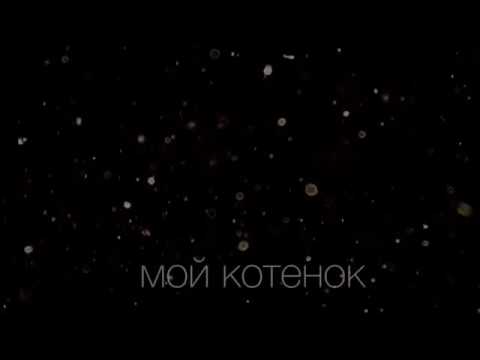 Видео: 5 лучших комиксов Леди Баг