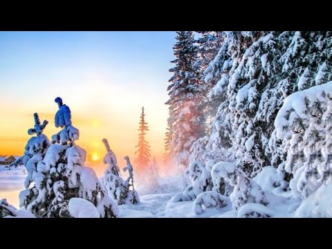 Видео: Зима. Ознаки зими. Природознавство другий клас.