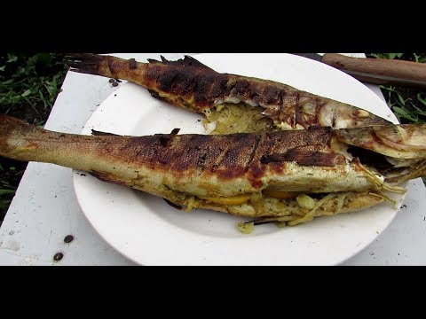 Видео: Судак на углях в решотке