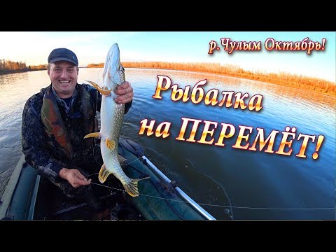 Видео: Как Ловить на Перемет! Отличная Рыбалка, р.Чулым!