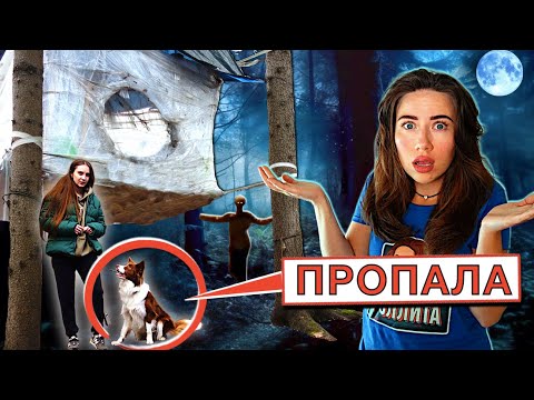Видео: ПРОПАЛА СОБАКА В ДОМЕ ИЗ ПЛЕНКИ НА ДЕРЕВЕ | Элли Ди
