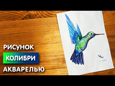 Видео: Как нарисовать колибри карандашом и акварелью начинающим | Рисунок для детей