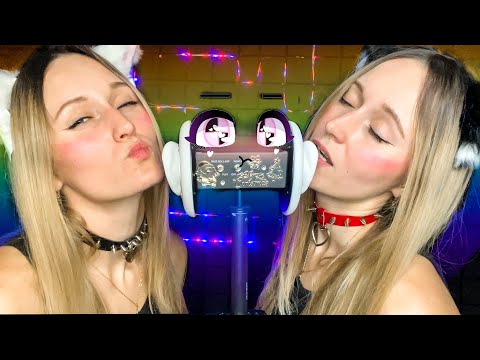 Видео: АСМР / 900 СЕКУНД МУРЧАНИЯ 😻 ОТ БЛиЗНЯШЕК👭 ASMR PURRING