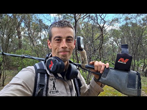 Видео: Проведение времени в лесу может оказаться гораздо более ценным, чем поиск золота!