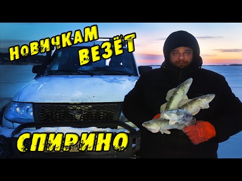 Видео: Первый РАЗ и Сразу ПЯТЬ СУДАКОВ с лунки! Зимняя рыбалка в СПИРИНО. СУДАК и ЩУКА НА ВИБЫ зимой 2024