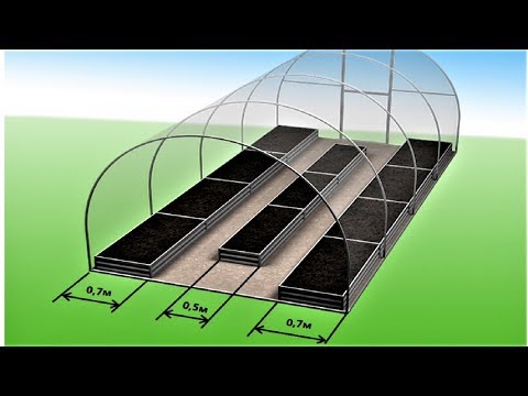 Видео: 286. Теплица. Как расположить грядки.