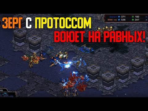 Видео: Старкрафт P VS Z Решения в конце игры главное!