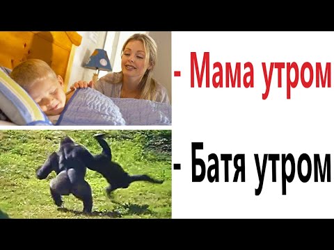 Видео: Приколы! КАК БУДИТ МАМА – КАК БУДИТ БАТЯ! Смешные видео от Доми шоу!