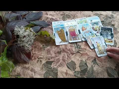 Видео: Висшия съд произнесе присъдата! ☝️‼️