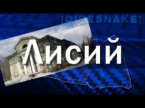 Видео: ПроРайон - Лисий нос.