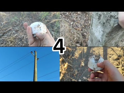 Видео: Поиск изоляторов Часть 4. Шф10г, тф2 ЦАРСКИЕ, ЩИМ. Нашли признаки от телеграфной линии 