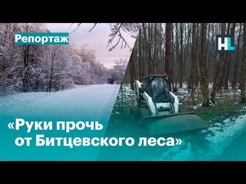 Видео: Собянин уничтожает Битцевский лес?