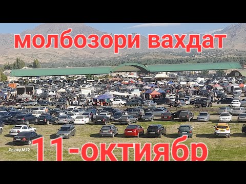 Видео: МОЛБОЗОРИ ВАХДАТ БУКАЧОИ КАЛОН МАЙДА ГУНОЖИН ГОВОИ ГУСОЛАДОР САВДО ШИД.