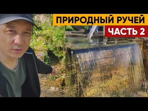 Видео: Природный ручей. Часть 2 | Ручей, питающие пруд 0,5 Га