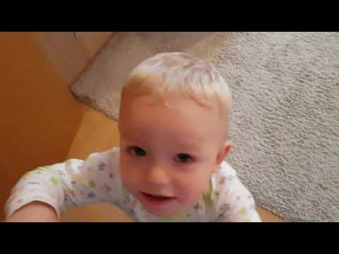 Видео: Как всегда на кухне/ Примерка  платьев