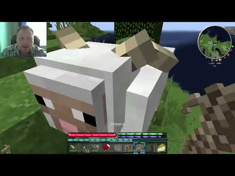 Видео: Minecraft - ПЕЩЕРОЗАВРЫ 8 БИТ - 27 - Овцы