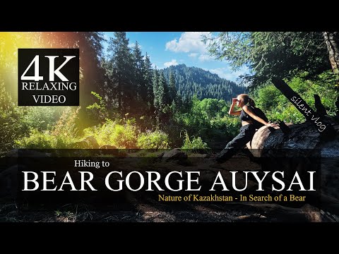 Видео: Young woman hiking to BEAR GORGE 4k, silent vlog /Девушка идет к Медвежьему водопаду АЮСАЙ, Горы 4К