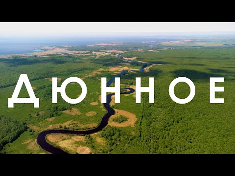 Видео: Неведомые дали: Дюнное, Причалы, Мысовка, Дальний лес