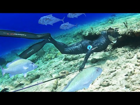 Видео: Первобытная подводная охота. ТОННЫ рыбы! {ТОЛЬКО ДЛЯ Штурмового подводного охотничьего снаряжения...